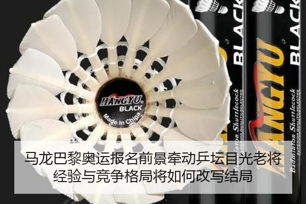 马龙巴黎奥运报名前景牵动乒坛目光老将经验与竞争格局将如何改写结局
